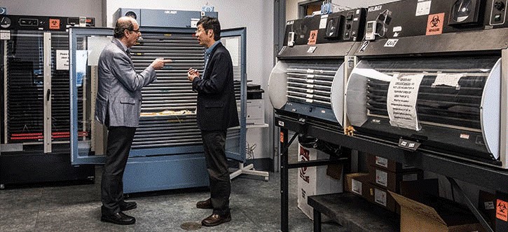 platelets.jpg A Cold-Blooded Concept: Launching a Method for Safer, Long-Lasting Platelet Storage