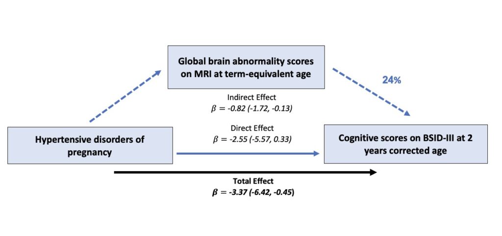 Hypertension-and-the-infant-brain-1024x481.jpg Mom’s Hypertension Can Affect Preterm Infant Brain and Neurodevelopment