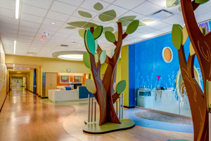 Take a virtual tour of the Cancer and Blood Diseases Institute at Cincinnati Children's Liberty Campus.