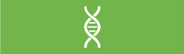 Learn more about genetics.