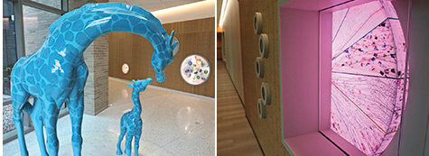 Images inside the Critical Care building.