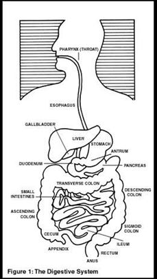 Colonic Manometry