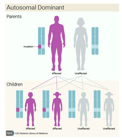 Autosomal Dominant Inheritance