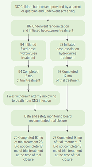 An image showing how participants were divided in the NOHARM-MTD study