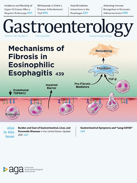 The cover of Gastroenterology, February 2022.