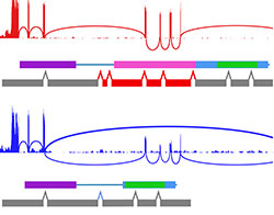 Image: design schema for ongoing development of AltAnalyze.