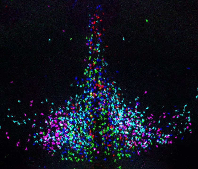 science of light