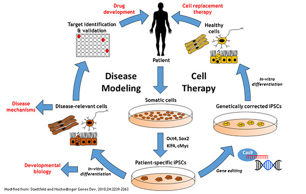 Click to view larger image.